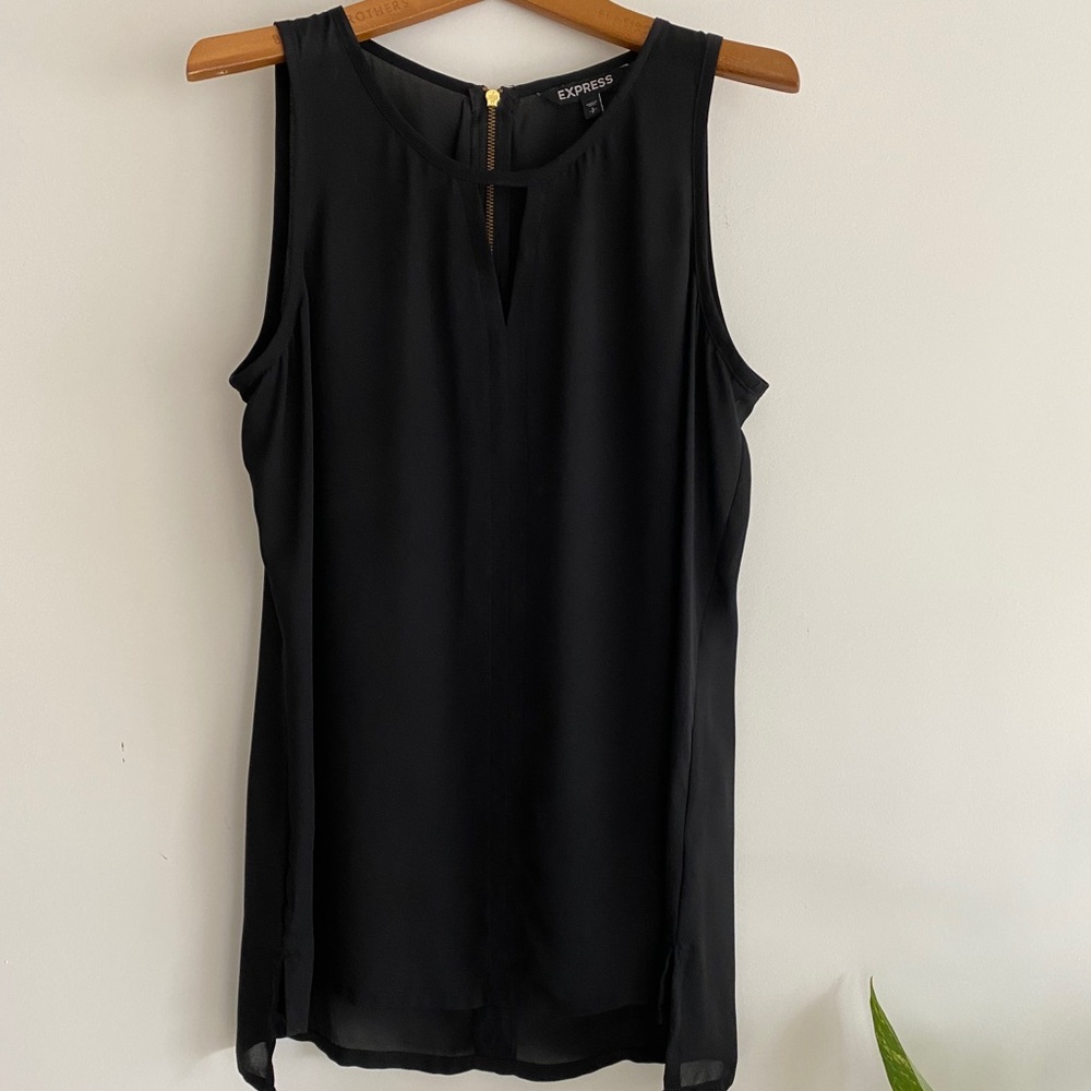 EXPRESS Sheer Top